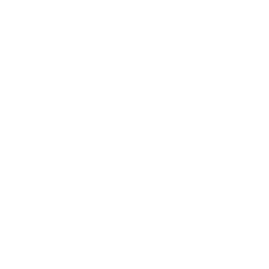 finsa